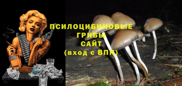 a pvp Абаза