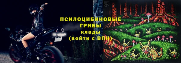 дживик Абинск