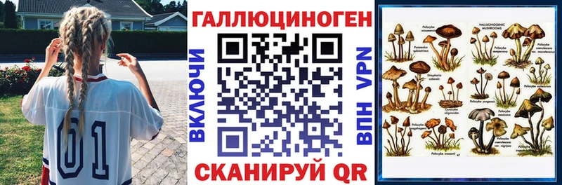 наркотики  кракен как зайти  Псилоцибиновые грибы мицелий  Западная Двина 